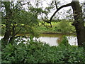 A glimpse of the River Weaver