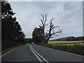 Part of the A438 road near Bromesberrow