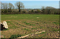 Field near Blakewell