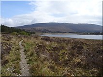 NH0155 : Path beside Loch Coulin by Richard Webb