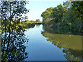 TQ6147 : River Medway by Robin Webster