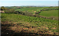 Valley near Farleigh