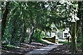 Skelton: Lovely wooded path to the Church of Christ the Consoler