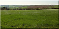 Farmland near Cross Farm