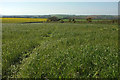 Grass field by Fursdon Cross