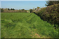 Grass field near Harleston