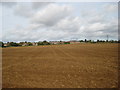 Prepared field and the edge of Barrowby