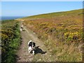 Footpath, St.Agnes Beacon