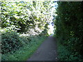 Mickleover Trail north of Etwall