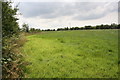 NY1749 : Field bounded on left by hedge along Rocketty Beck by Roger Templeman