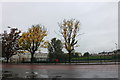 Playing fields on Millennium Way, Bracknell