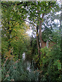 The brook behind Sainsbury