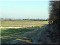 Farmland north of Skeet Hill Lane