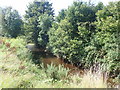 The Creggan River below the Old Town Road bridge