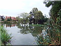 Village pond, Westwoodside