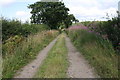 NY3651 : Track towards Sowerby Wood from Barras Brow by Roger Templeman