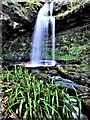NS2052 : Biglees Waterfall (Upper Falls) (set of 2 images) by Raibeart MacAoidh