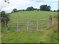 Lisleitrim Hill Fort from the Lisleitrim Road