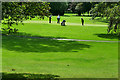 R4747 : Adare Manor Golf Course by David Dixon
