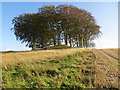 Walled wooded mound named 