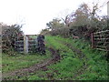 Llwybr ger Ffarm Penlan / Path near Penlan Farm