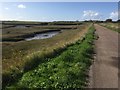 Track through wetlands