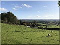 Field above the Shropshire Plain