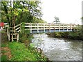 Footbridge over the River Mole