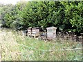 Beehives at Plawsworth