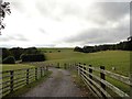 Fields beside Mill Lane