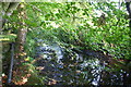 Black Beck flowing towards West Road bridge