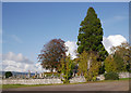 Trees, Tomnacross Cemetery