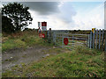 Railway Crossing on Duke