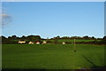 Grazing towards Philpots Court Farm