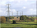 SO8397 : Staffordshire farmland and pylons near Trescott by Roger  D Kidd