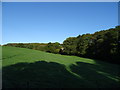 Farmland near Purlieu Farm