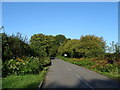 Minor road towards Viney Hill