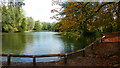 Alexandra Palace Boating Lake