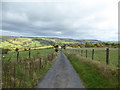 Lane above Beguildy