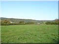 Grazing off the A48