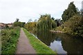 Chesterfield Canal towards bridge #43