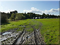 Footpath towards Mill House