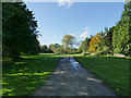 Cinder Hill campsite, Cawthorne