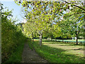 Footpath through the Rowlands