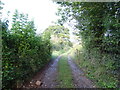 Farm track off the A48 near Newnham