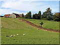 Pasture south-east of Pattingham in Staffordshire