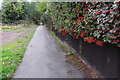 Public footpath into Rushden