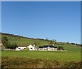 Bungalows below Ballymagreeham Wood