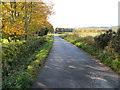 Wall and hedge enclosed minor road at Wellhead