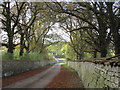 Planting Road, Easton